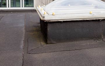 disadvantages of Wellington flat roofs