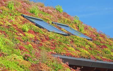Wellington living roof systems