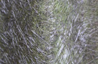 Wellington fibreglass roof work